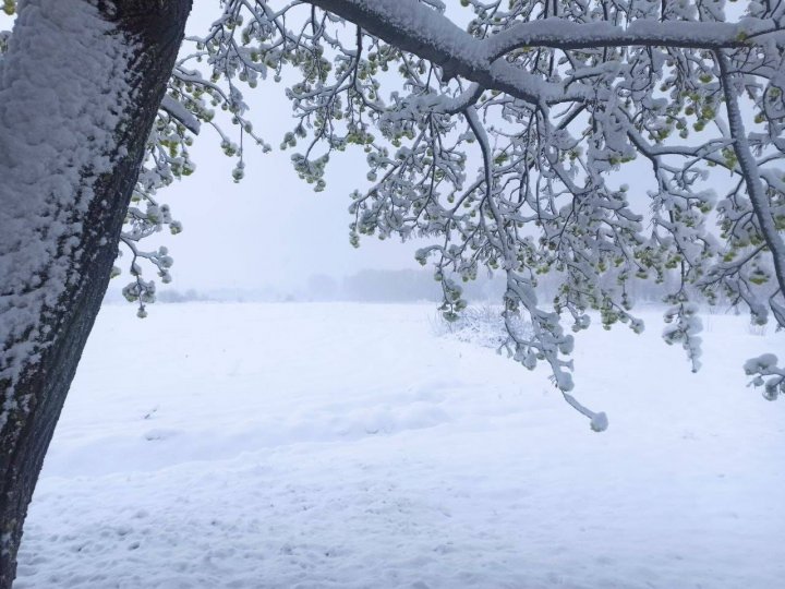 IARNĂ ÎN APRILIE. Zăpada s-a aşternut în mai multe localităţi din ţară (FOTO)