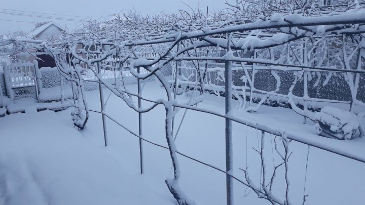 IARNĂ ÎN APRILIE. Zăpada s-a aşternut în mai multe localităţi din ţară (FOTO)