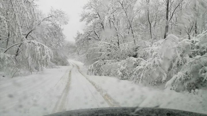 În regiunea de nord și vest a țării se circulă în condiții de iarnă. Șoferii, îndemnați să fie prudenți (FOTO)