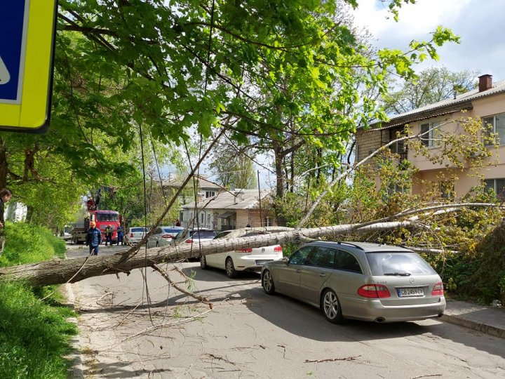Vântul face RAVAGII în Capitală. Un pilon de electricitate s-a prăbușit peste o mașină, iar un copac peste un alt automobil (FOTO)