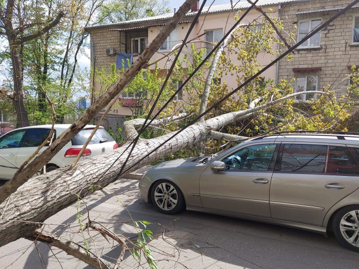 Vântul face RAVAGII în Capitală. Un pilon de electricitate s-a prăbușit peste o mașină, iar un copac peste un alt automobil (FOTO)