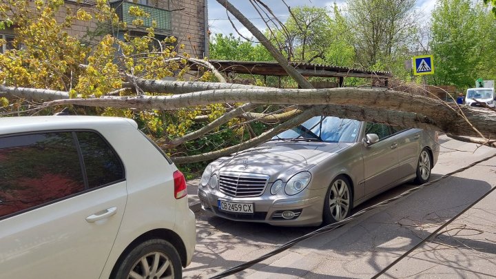 Vântul face RAVAGII în Capitală. Un pilon de electricitate s-a prăbușit peste o mașină, iar un copac peste un alt automobil (FOTO)