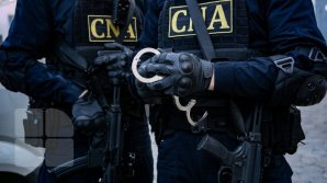 PERCHEZIȚII la PIF Otaci. 6 angajați ai ANSA, reținuți de ofițerii CNA (FOTO)