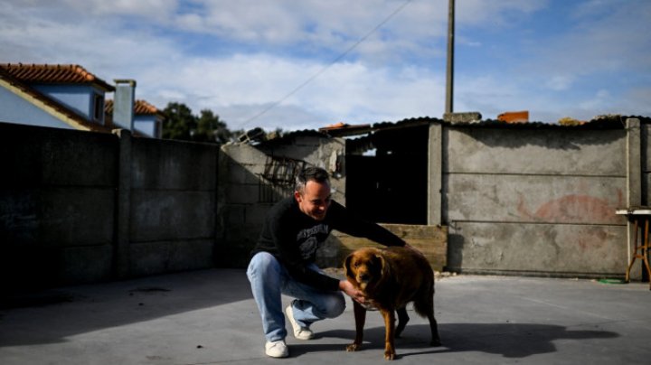 Bobi, cel mai bătrân câine din lume, a împlinit 31 de ani. Povestea patrupedului și cum arată (FOTO)