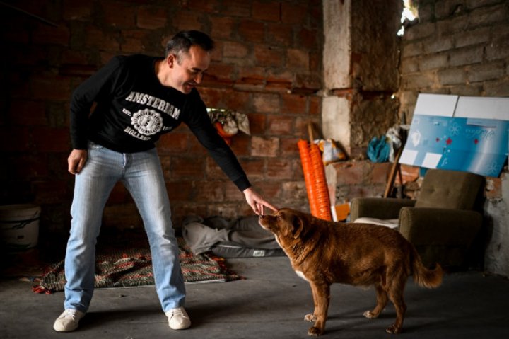 Bobi, cel mai bătrân câine din lume, a împlinit 31 de ani. Povestea patrupedului și cum arată (FOTO)