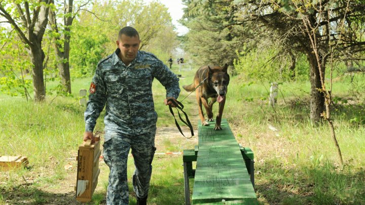 Întrecere chinologică cu 22 de echipe. Ce au câștigat concurenții de pe primele poziții (FOTO)