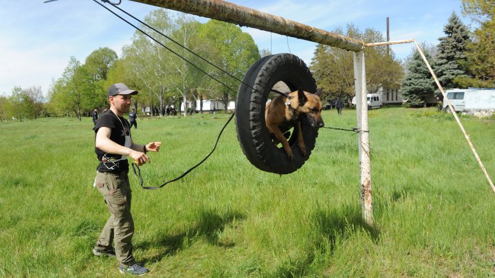 Întrecere chinologică cu 22 de echipe. Ce au câștigat concurenții de pe primele poziții (FOTO)