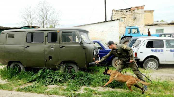 Întrecere chinologică cu 22 de echipe. Ce au câștigat concurenții de pe primele poziții (FOTO)