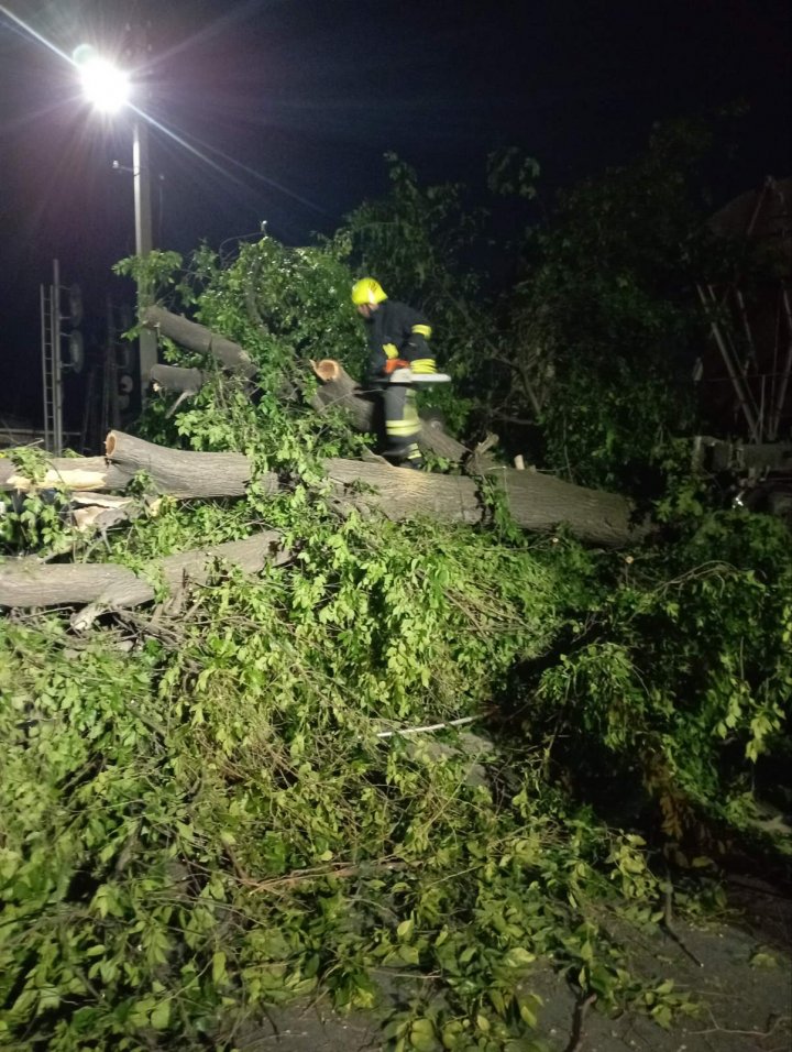 Accident feroviar la Bălți. Mai multe vagoane au deraiat de pe linie, au dărâmat un gard și au doborât un copac (FOTO)