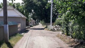 Poliţia oferă detalii despre TRAGEDIA din nordul ţării. Fetiţa de 7 ani a fost împuşcată, din imprudenţă, de verişorul ei cu o armă deţinută ilegal