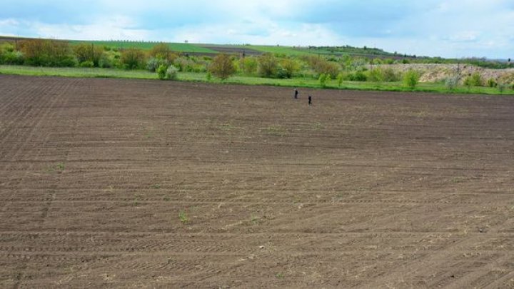 Resturi de locuire atribuite culturii getice din sec. V-III înainte de Hristos, descoperite lângă Soroca (FOTO)