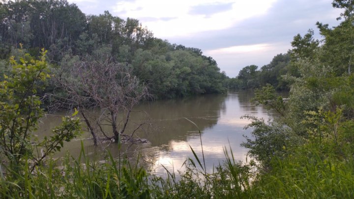 Descoperire macabră, la Ungheni. Vezi ce a găsit un bărbat pe malul Prutului