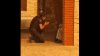 VIDEO. Infern în Grecia din cauza incendiilor. Un polițist se roagă în genunchi de călugărițe să evacueze mănăstirea amenințată de flăcări