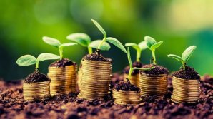 Noi forme de subvenționare pentru agricultori, aprobate de Guvern