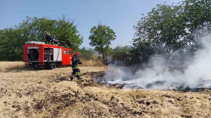 FOTO ZECI de hectare de culturi agricole, distruse de incendiile de vegetație