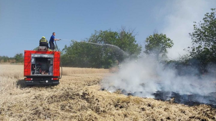 FOTO ZECI de hectare de culturi agricole, distruse de incendiile de vegetație