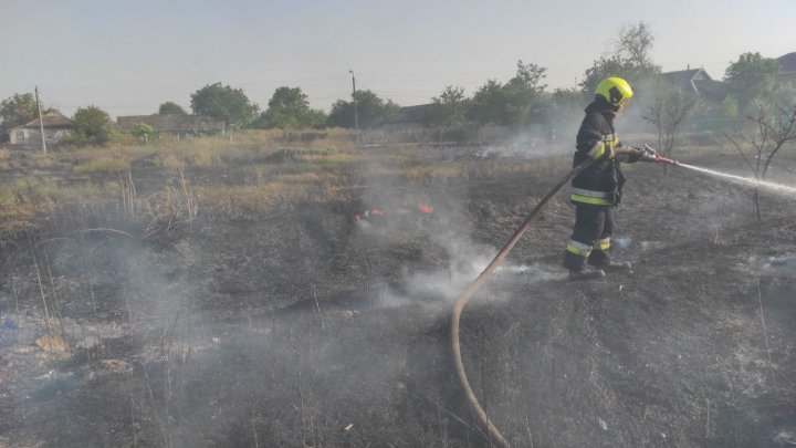 FOTO ZECI de hectare de culturi agricole, distruse de incendiile de vegetație