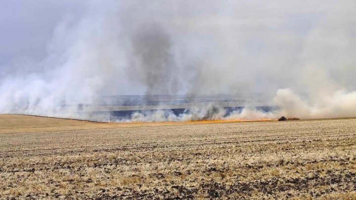 FOTO ZECI de hectare de culturi agricole, distruse de incendiile de vegetație