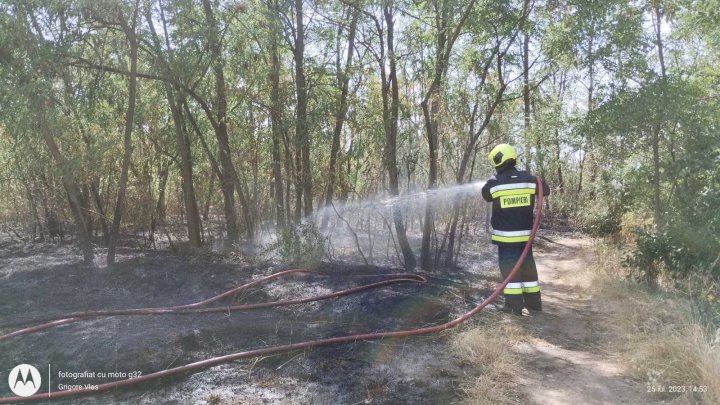 GALERIE FOTO  INCENDIU la Ocolului Silvic Sculeni. O suprafață de aproximativ 600 de metri a fost cuprinsă de flăcari