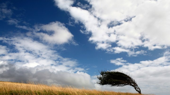 Meteorologii au prelungit CODUL GALBEN de vânt puternic în toată țara