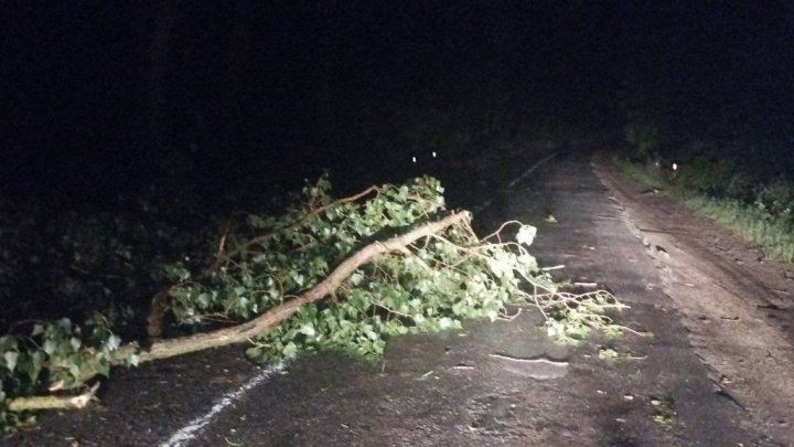 VIDEO/FOTO. O FURTUNĂ PUTERNICĂ a făcut PRĂPĂD în mai multe localități din Moldova