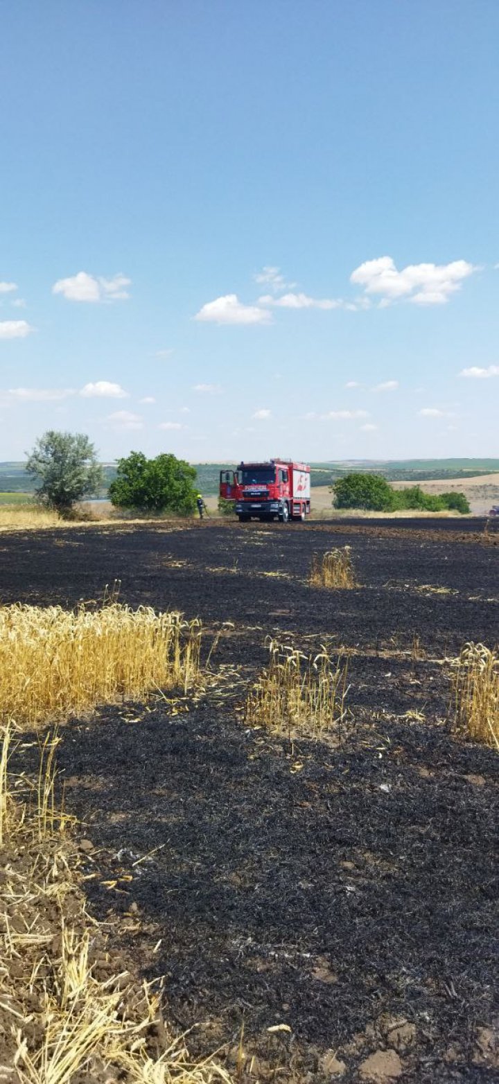 FOTO Moldova, în FLĂCĂRI. Hectare de culturi agricole și vegetație uscată, nimicite de foc