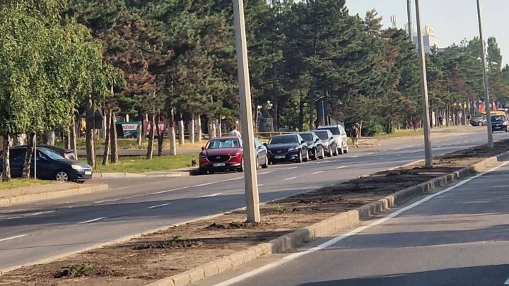 Arbuștii plantați pe aleea din strada Calea Orheiului au fost FURAȚI. Primăria Chișinău a depus plângere la poliție