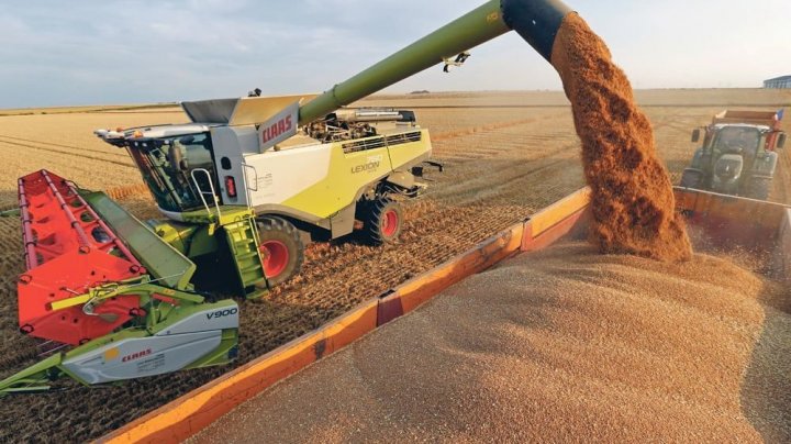 Preţul grâului a crescut după ce Rusia a ieşit din acordul cerealelor din Marea Neagră