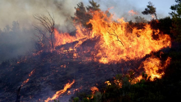 Infernul din Grecia. Crește bilanțul morților, în urma incendiilor de vegetație