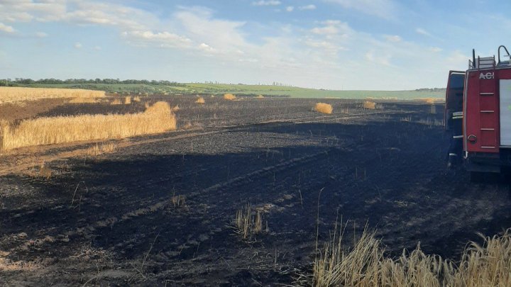 FOTO INCENDIU la Anenii Noi. Peste 20 hectare de orz și 30 hectare de grâu, nimicite de flăcări 