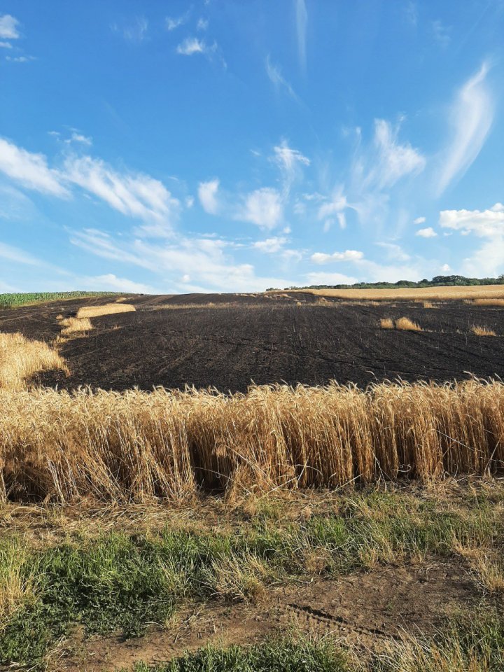 FOTO INCENDIU la Anenii Noi. Peste 20 hectare de orz și 30 hectare de grâu, nimicite de flăcări 