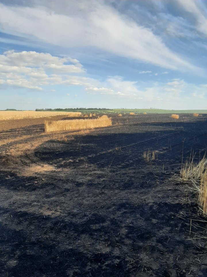 FOTO INCENDIU la Anenii Noi. Peste 20 hectare de orz și 30 hectare de grâu, nimicite de flăcări 