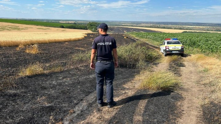 FOTO INCENDIU la Anenii Noi. Peste 20 hectare de orz și 30 hectare de grâu, nimicite de flăcări 