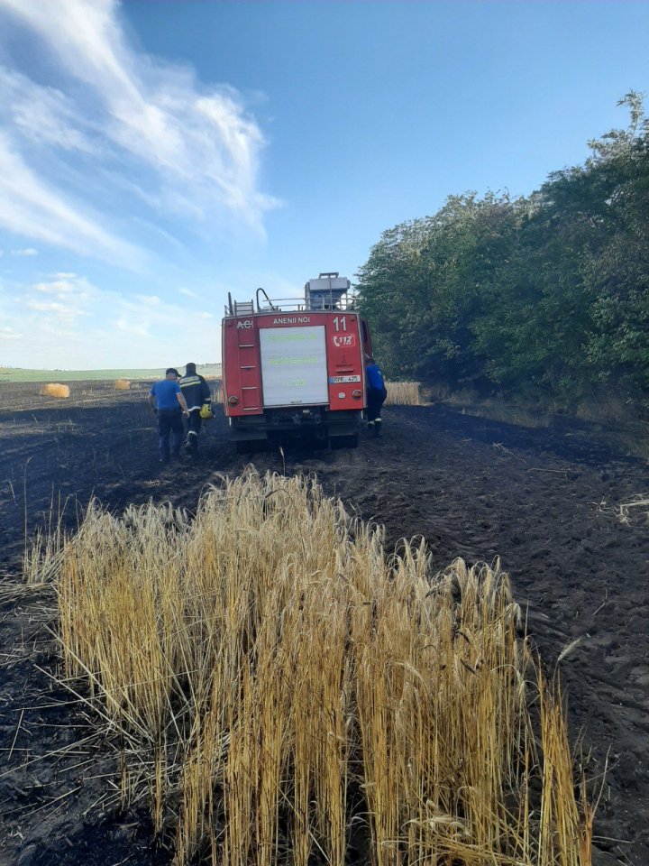 FOTO INCENDIU la Anenii Noi. Peste 20 hectare de orz și 30 hectare de grâu, nimicite de flăcări 