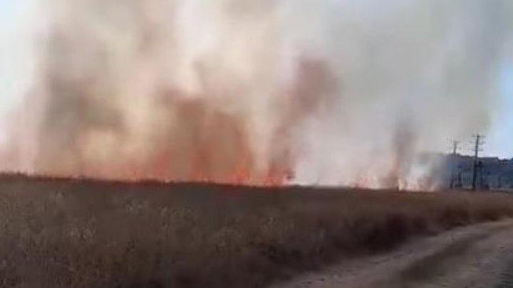 VIDEO Spitalul din Bălți a rămas fără energie electrică, din cauza unui incendiu de vegetație. RED-Nord: Focul ar fi fost provocat intenționat