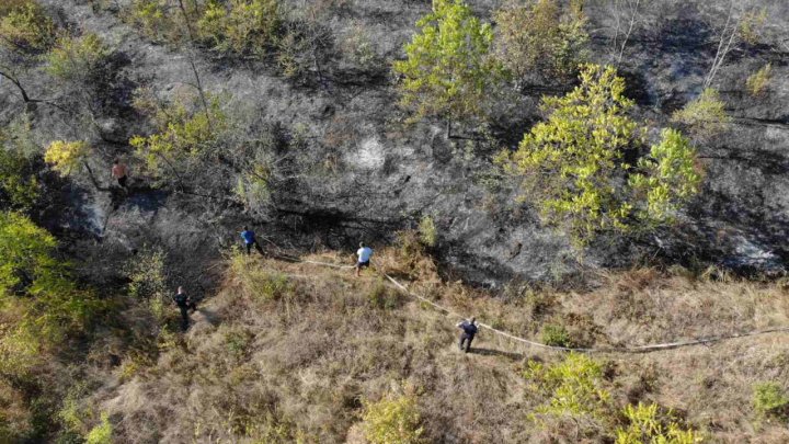 FOTO, Un incendiu masiv de vegetație a izbucnit la Stăuceni. Au intervenit PATRU echipe de salvatori și pompieri