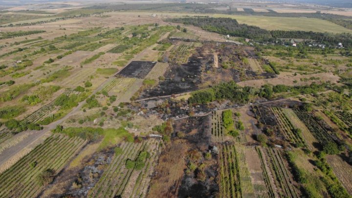 FOTO, Un incendiu masiv de vegetație a izbucnit la Stăuceni. Au intervenit PATRU echipe de salvatori și pompieri