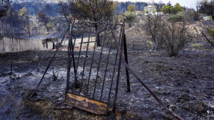 ALARMANT: Incendiile din nordul Greciei au produs cel mai mare dezastru din UE (IMAGINI APOCALIPTICE)