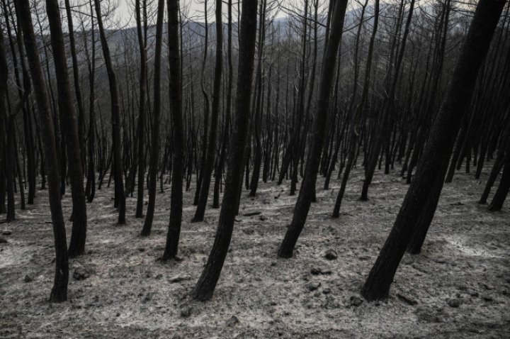 ALARMANT: Incendiile din nordul Greciei au produs cel mai mare dezastru din UE (IMAGINI APOCALIPTICE)