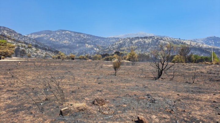 ALARMANT: Incendiile din nordul Greciei au produs cel mai mare dezastru din UE (IMAGINI APOCALIPTICE)