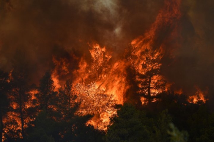 ALARMANT: Incendiile din nordul Greciei au produs cel mai mare dezastru din UE (IMAGINI APOCALIPTICE)