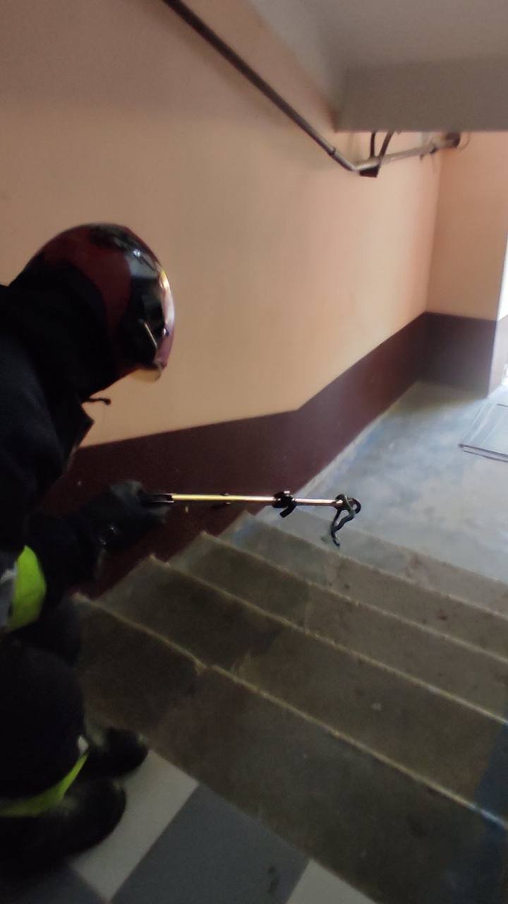 FOTO. O femeie din Căușeni s-a trezit cu un șarpe în apartament. Salvatorii au intervenit de urgență