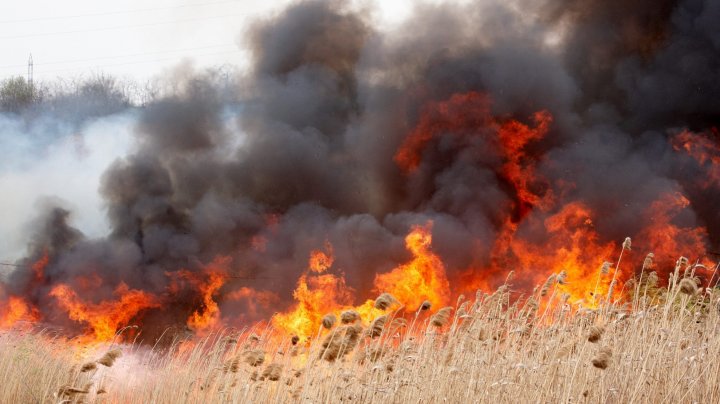 INCENDIU în apropiere de Isacova, raionul Orhei. Circa 300 hectare de vegetație, distruse de flăcări