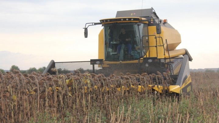 Asociația Fermierilor: Situația e critică în sudul țării. O catastrofă agricolă