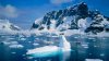 „Pare că am pierdut controlul!” Topirea calotei glaciare din vestul Antarcticii este „inevitabilă” și va avea „consecințe dezastruoase”
