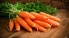 Cum să păstrezi morcovii pentru iarnă. Vezi cele mai simple şi eficiente soluţii