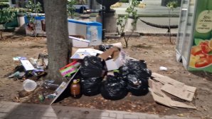 (VIDEO/FOTO) Mormoane de gunoi. 31 TONE DE DEȘEURI, adunate din PMAN după Ziua Națională a Vinului 