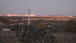 INCENDIU pe un câmp cu porumb din raionul Căușeni. Peste 15 hectare de vegetație, mistuite de flăcări