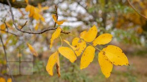 AVERTIZARE METEO: Cod Galben de ÎNGHEŢURI