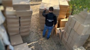 Captură uriaşă de țigări. Şoferul care le transporta a provocat un accident şi a lovit doi ofițeri vamali